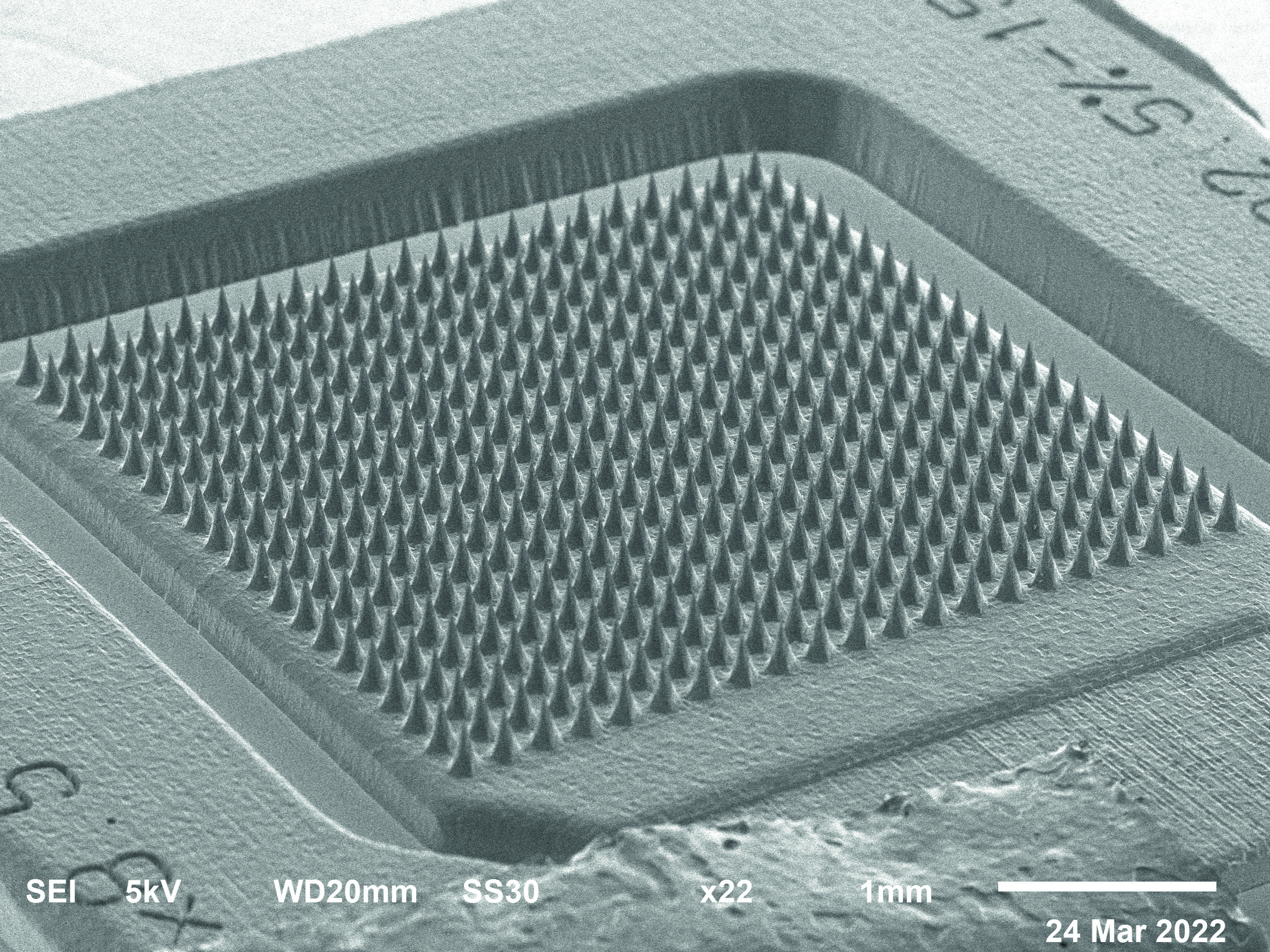 Mittels Lasermikr obearbeitung hergestelltes Nano-Array aus Silizium. An den Spitzen tritt bei angelegtem elektrischem Feld der Feld-Emissions-Effekt auf, wodurch Elektronen freigesetzt werden (Quelle: Ostbayerische Technische Hochschule Regensburg)