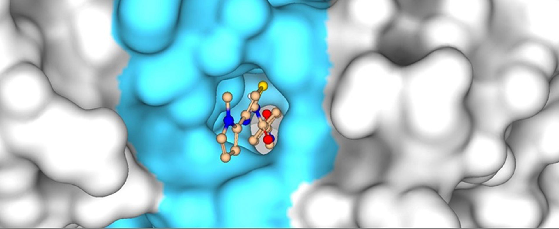 Kinase-Inhibitoren als Therapeutika für Echinokokkose – KITE